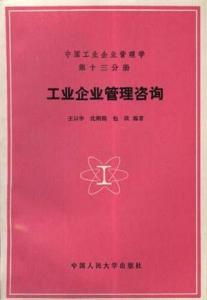 工业企业管理咨询 驱动企业变革与价值提升的专业引擎